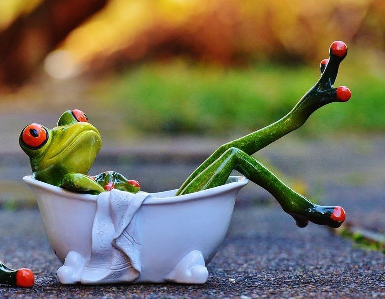 Frog in bath