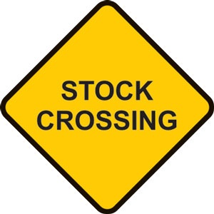 warning-signs-stock-crossing.jpg