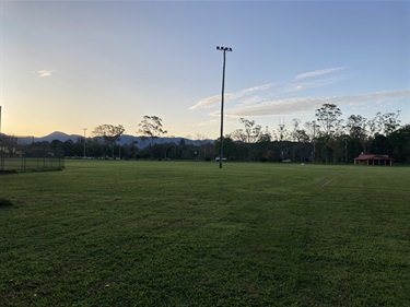 Looking North