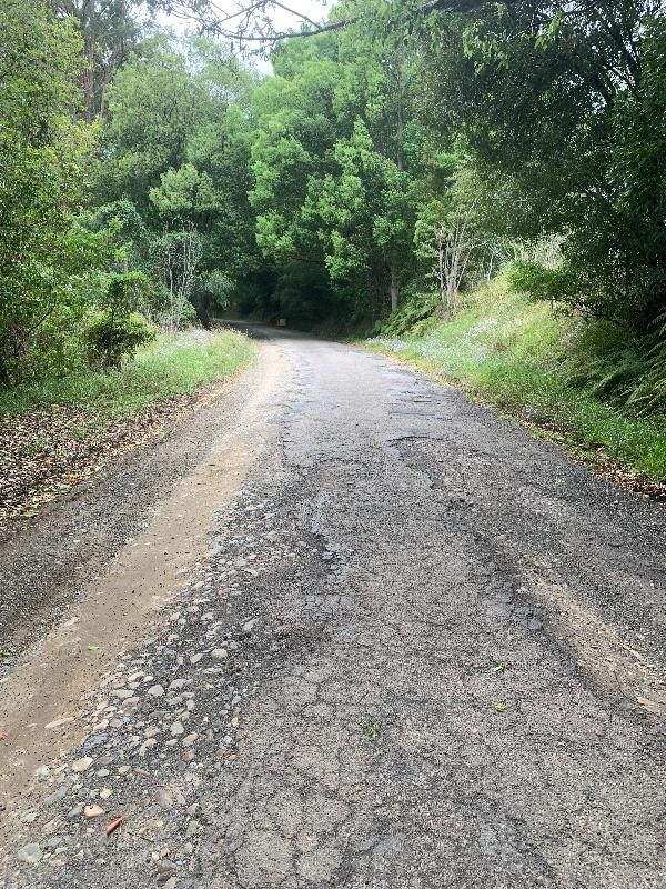 North Bank Road Home of Bellingen Shire