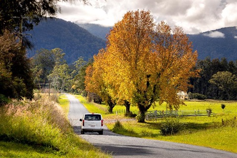 Car on Autumn road