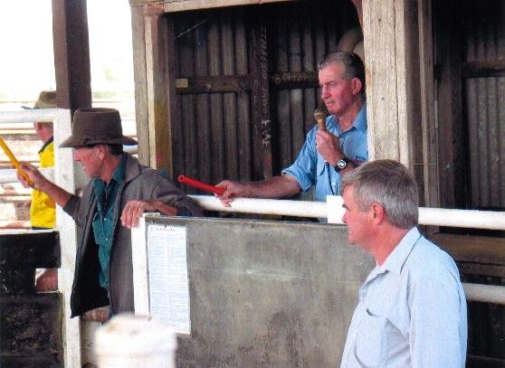 2003-salebox.jpg