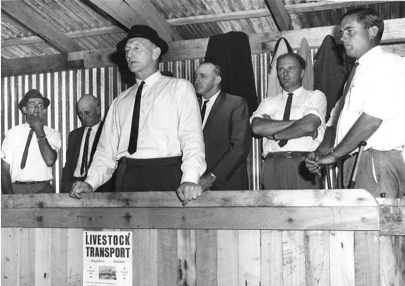 Saleyard-BW_5.jpg