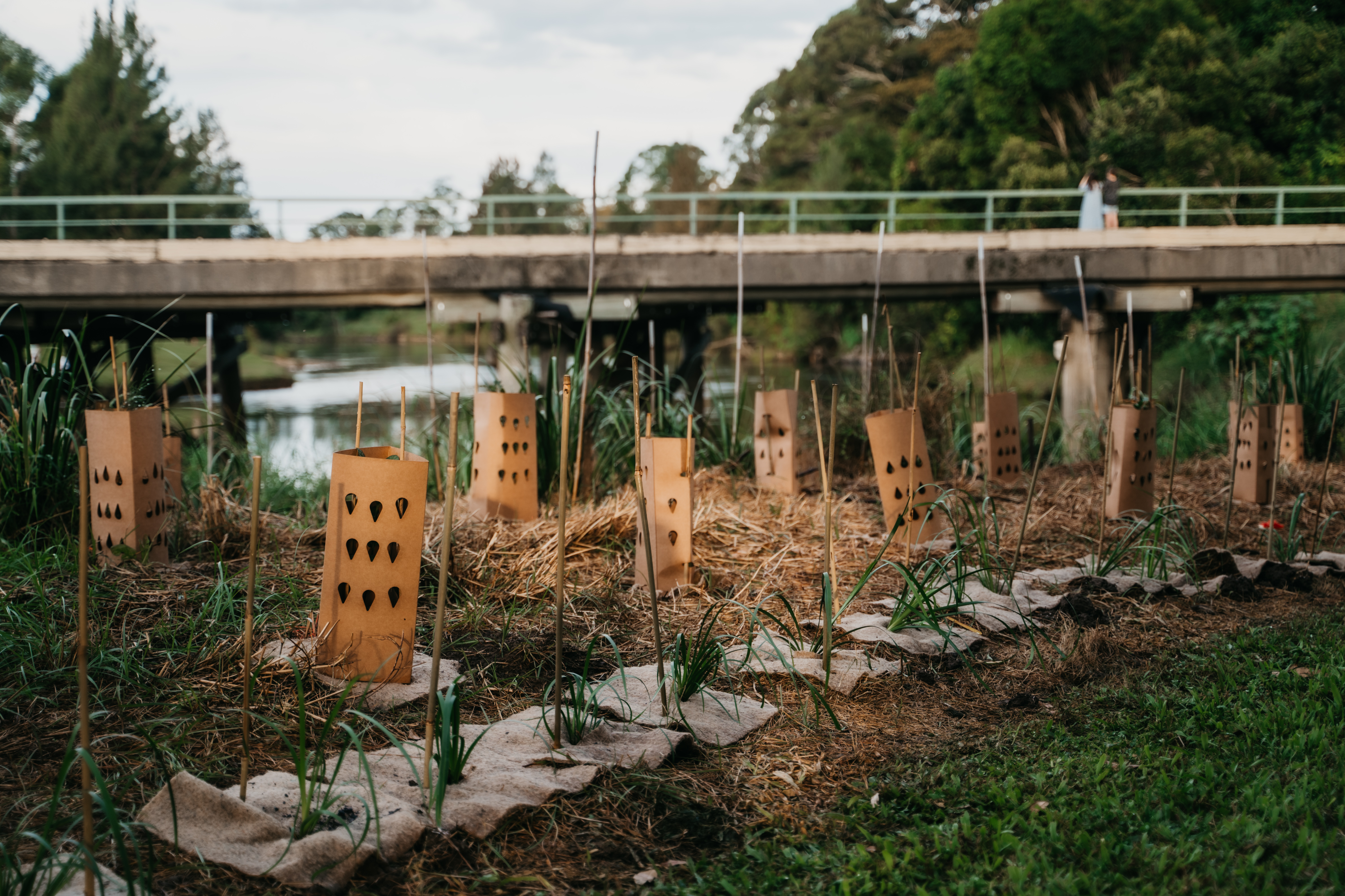 Community Grants - OzGreen.jpg