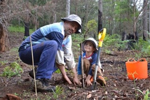 Tree planting.jpg