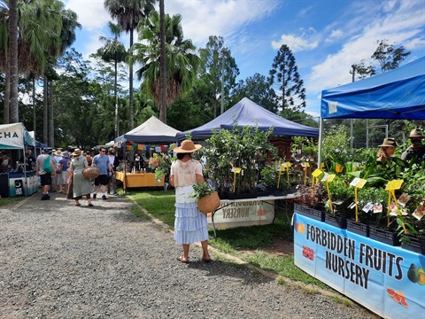 Bellingen Markets.jpg