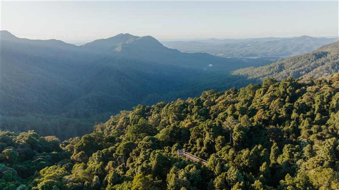 COANDA - DORRIGO NATIONAL PARK (32).JPG