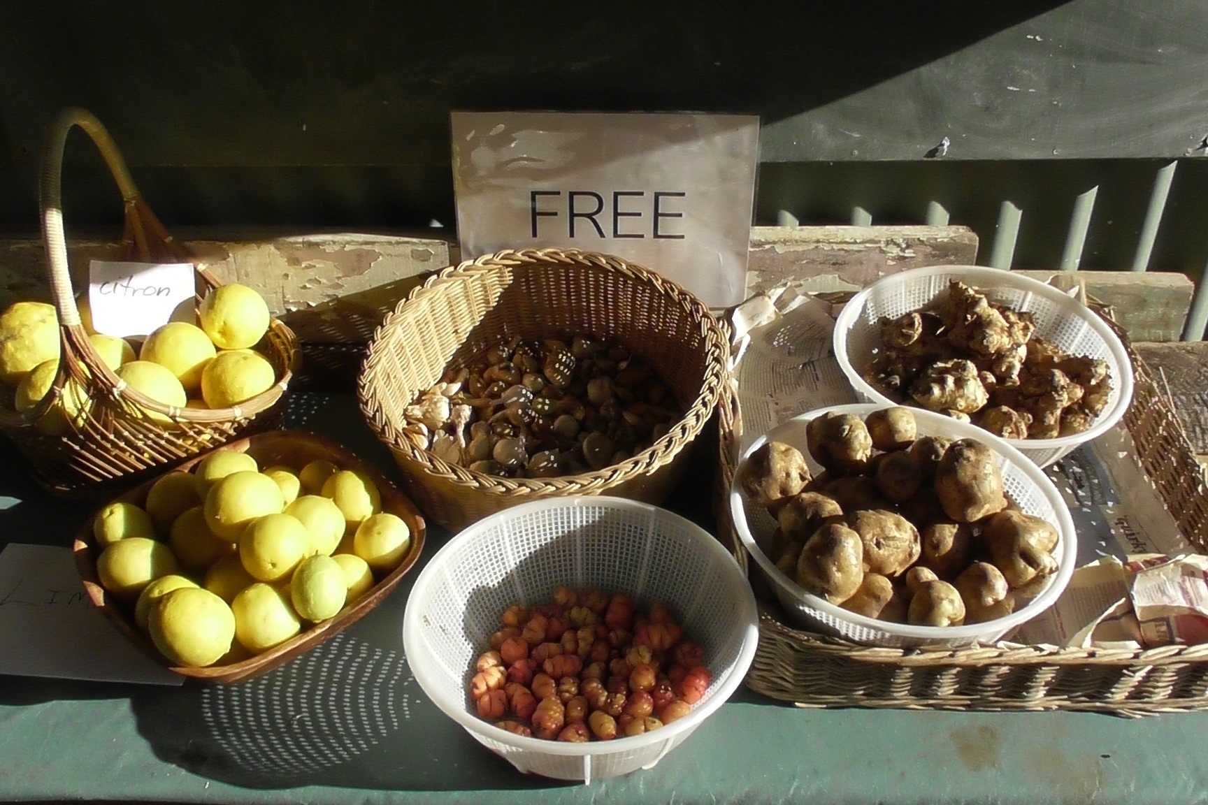 Free produce.JPG
