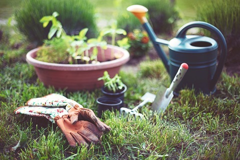Gardening tools.jpg