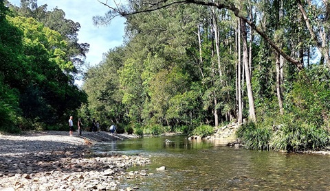 Never Never Creek