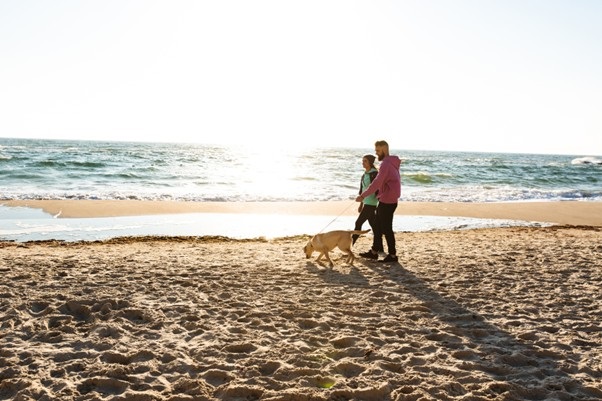 Picture9_Dogwalking.jpg