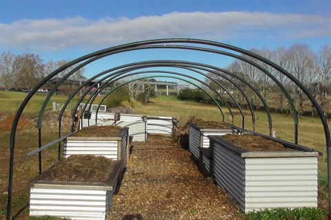 Raised Garden Beds Dorrigo Community Garden.JPG