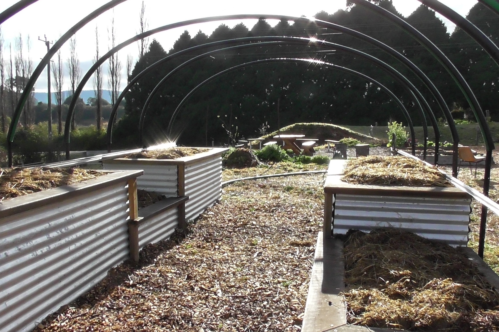 Raised Garden Beds Dorrigo Community Nursery 2.JPG
