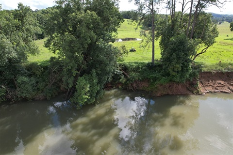 Riverbank Erosion.JPG