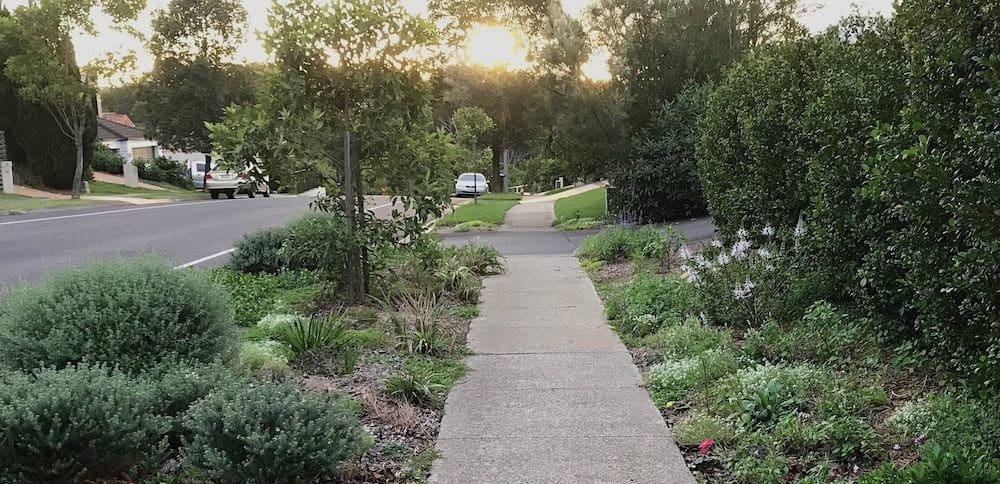 Shady Lanes Verge Garden.png