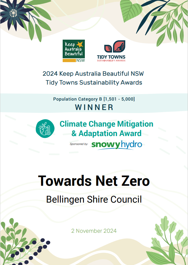Towards Net Zero Award.png
