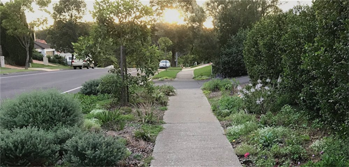 verge gardens.png