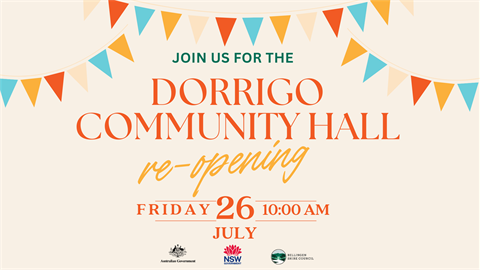 DCH opening website image.png