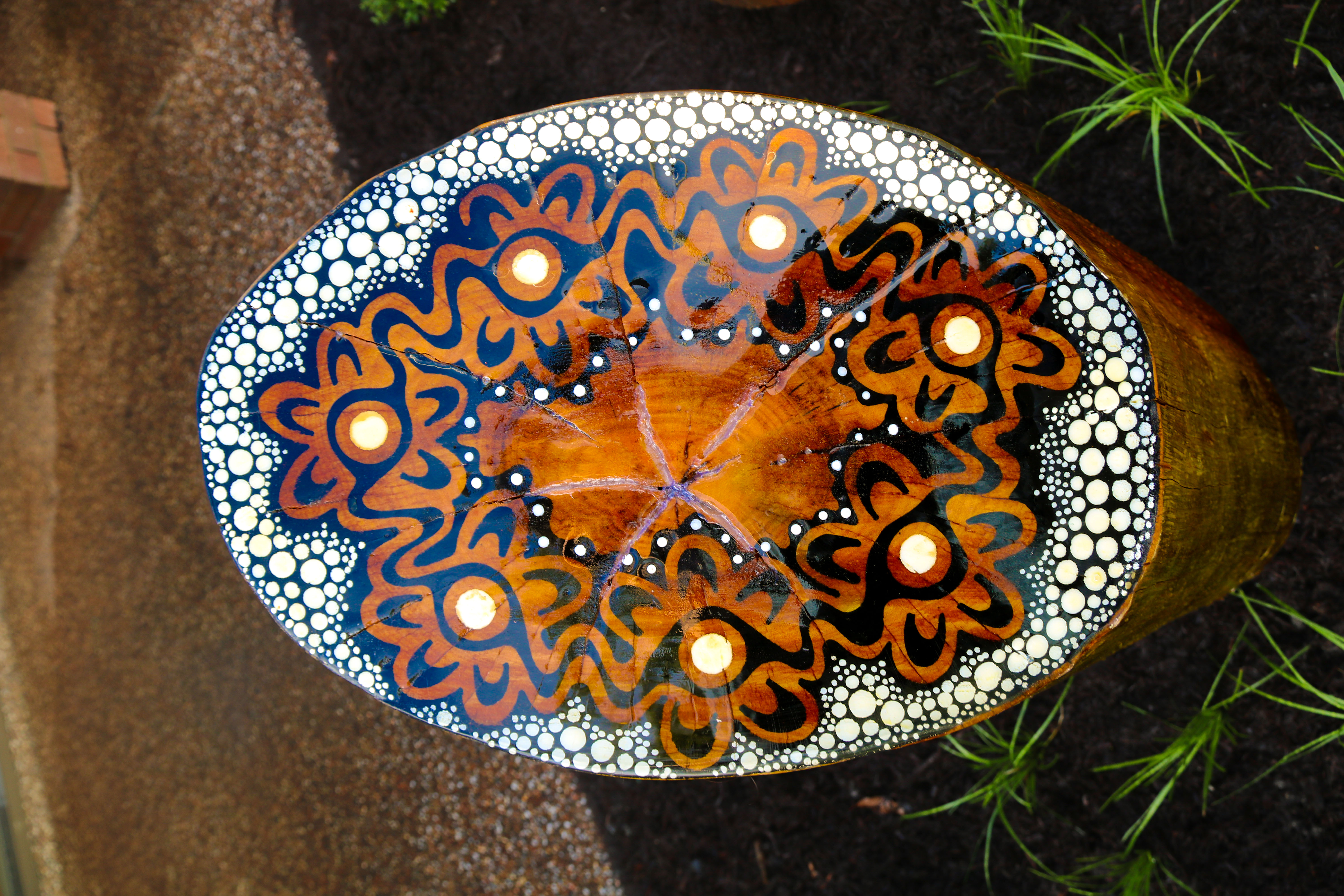 Dorrigo Plateau Artwork.jpg
