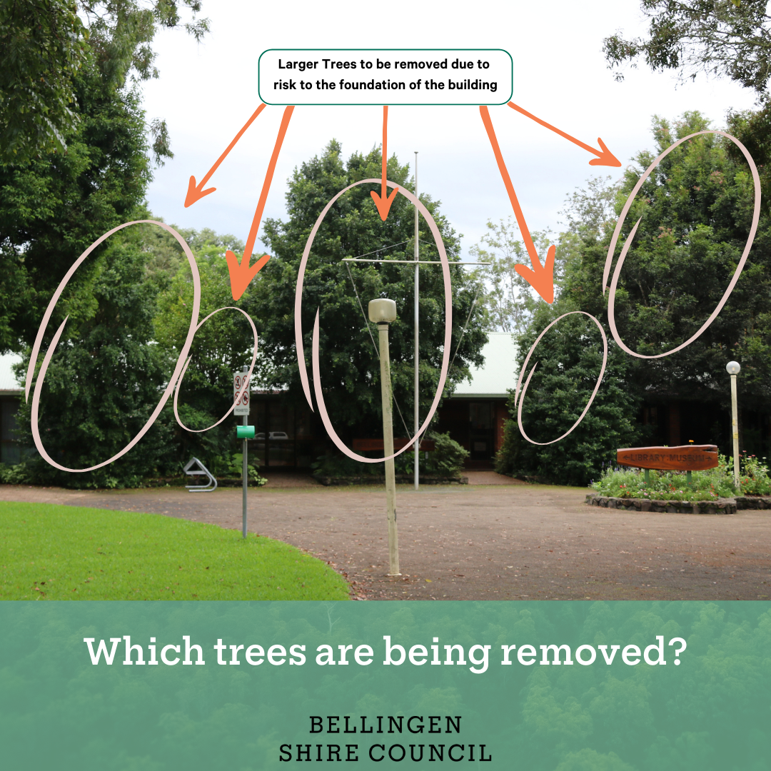 Essential Landscaping 2.png