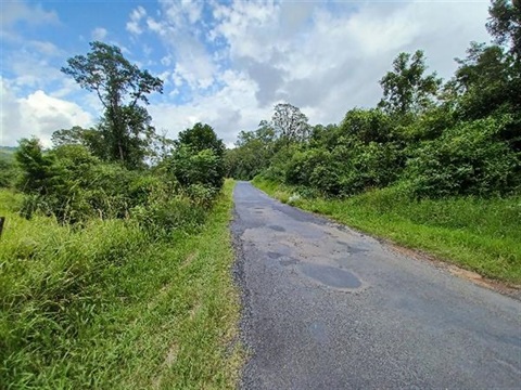 Darkwood Road