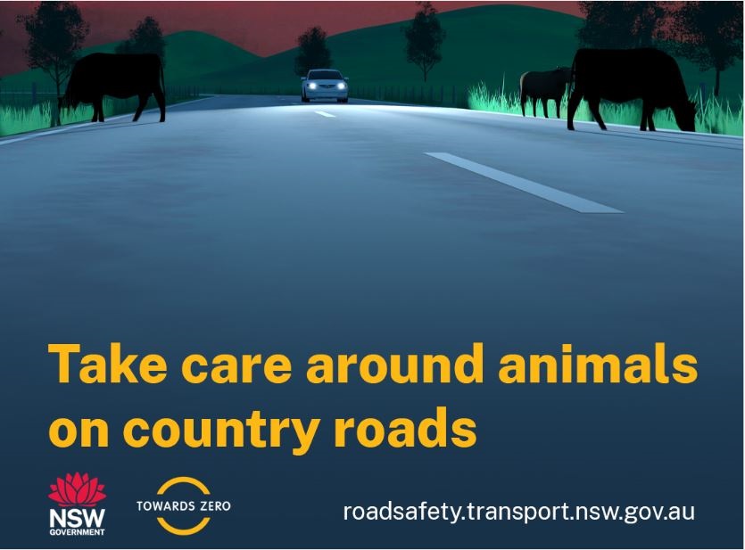 Cattle-on-Road-Landscape.jpg