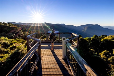 Dorrigo Skywalk