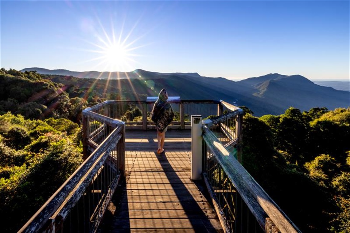 Dorrigo Skywalk